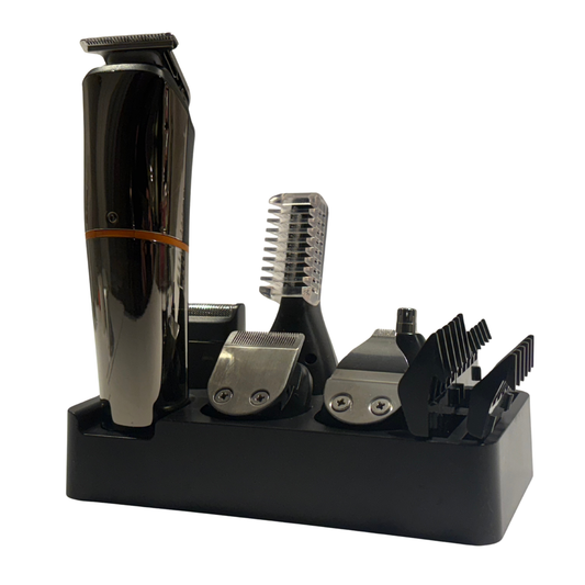 skägg och hårtrimmer kit